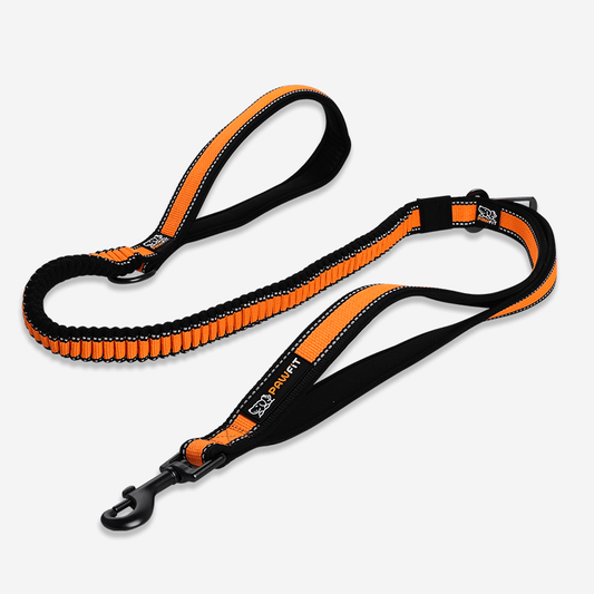 Pawfit Lead