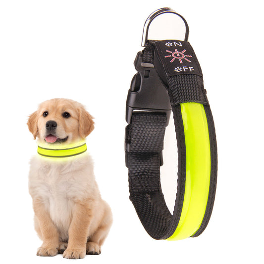 50cm Medium Rechargeable Light-up LED Pet Collar